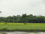 22006DSC00119.JPG
