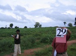 1045729-cropland-rainfed-abandoned-1yr-fallowa.gif