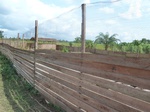 20356P1020213.JPG