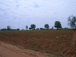 28061RIMG0116.JPG