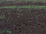 517123042008(19).JPG