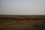 4245IMG_8884.JPG