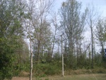 27770RIMG0050.JPG