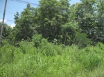 33501IMG_5744.JPG