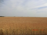 29705CIMG1004.JPG