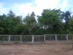 28068RIMG0123.JPG
