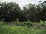 34464IMG_5447.JPG