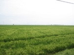 14316IMG_4656.JPG