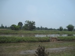 34517IMG_5500.JPG