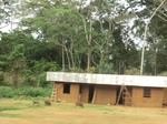 48162CIMG4499.JPG
