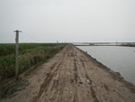 54385DSCN1665.JPG