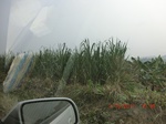 33061CIMG2296.JPG