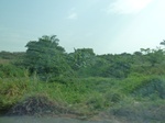 51505P1000664.JPG