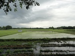 22134DSC00377.JPG