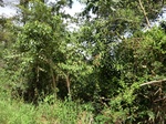 46574CIMG0863.JPG