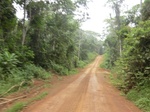 47615CIMG3952.JPG