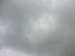 45511CIMG2596.JPG