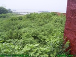 993R0015333_tag.jpg