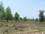 17438100_2126.JPG