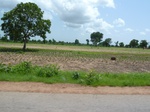 19533P1010380.JPG