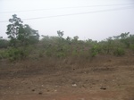 3967RIMG0271.JPG