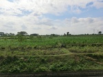 31420CIMG1284.JPG