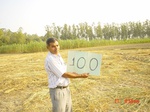 11293gt100-cropland-2.jpg