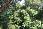 2024-08-05_16-54-17_C66D6D6B-54E2-4A9D-B5B3-D93FAEF7E996.jpeg