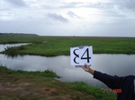 10662gt-084-wetland-flood-plain-01.jpg