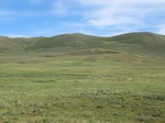 37946CIMG1754.JPG