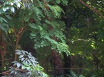 17504100_2759.JPG