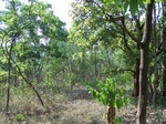 1795127042008(82).JPG