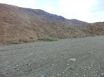 37264CIMG1065.JPG