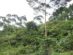 15288IMG_4120.JPG