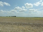 35612DSC02114.JPG