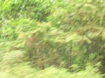 48620CIMG4957.JPG