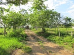 32072IMG_5633.JPG