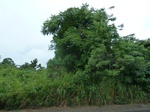 18298P1000134.JPG
