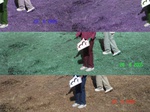 10800gt-003-wetland-perennial-stream-02.jpg