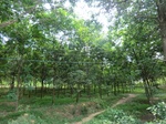34815CIMG1464.JPG
