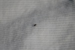 373IMG_3482.JPG
