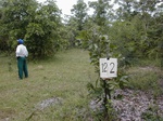 12121GT122_Savannah.JPG