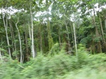20279P1020134.JPG
