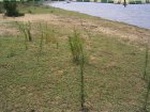 1603R0015251_small.jpg