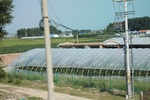 2024-08-05_14-31-47_F0141350-E129-4406-A842-6D53629FF543.jpeg