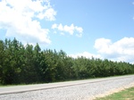32478p140.jpg