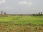 26741DSC00954.JPG