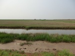 53786CIMG0252.JPG