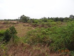 51929Tank ID 1800147 Titthiganahalli 1.JPG