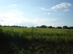 32558p209.jpg